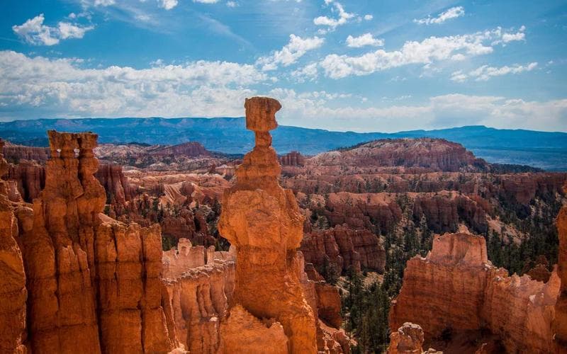 Brand Identity Design