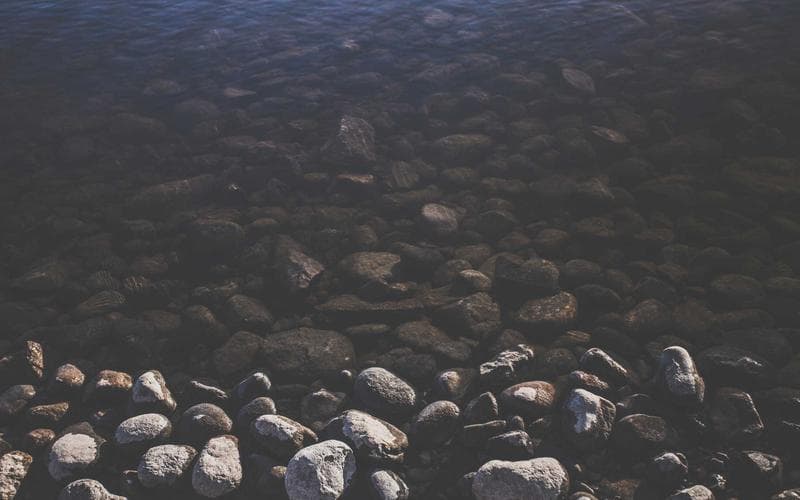 Photography Masterclass